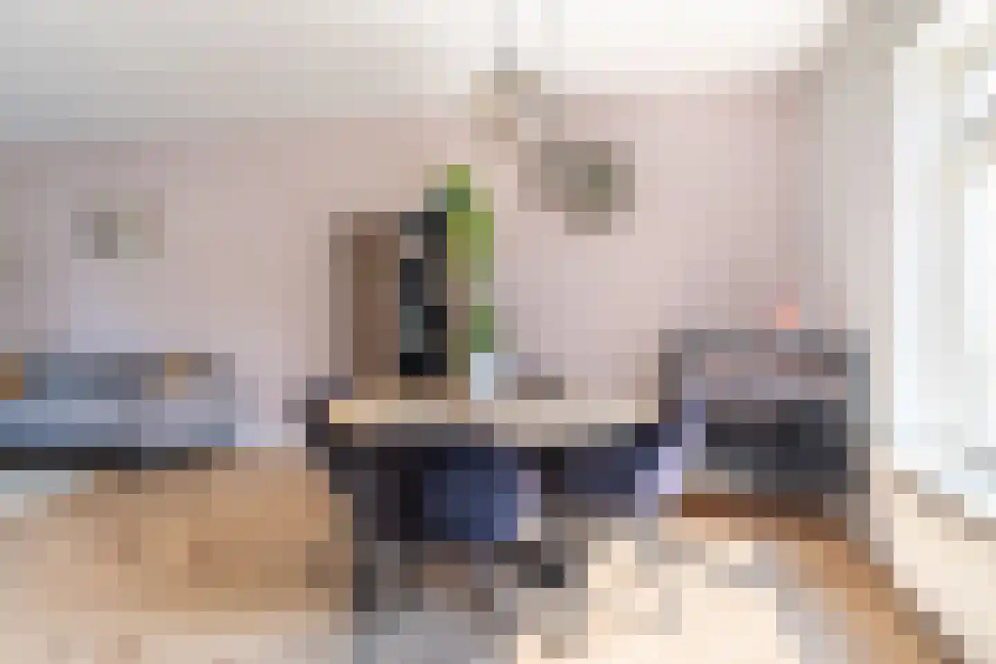 Master Hofstrastrjitte 43 Driezum thumbnail 12