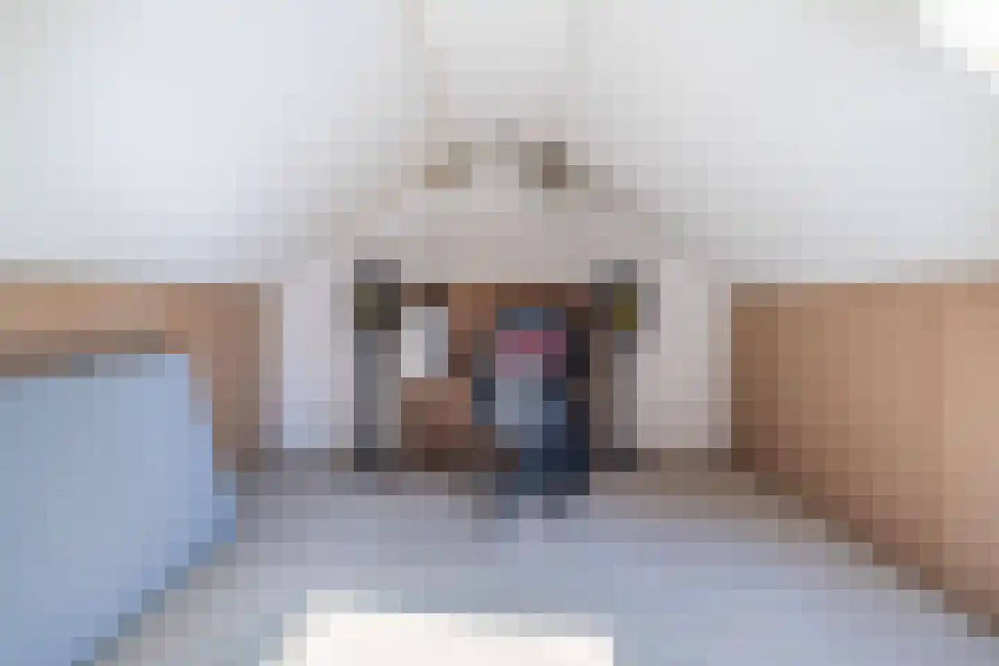 Master Hofstrastrjitte 43 Driezum thumbnail 29