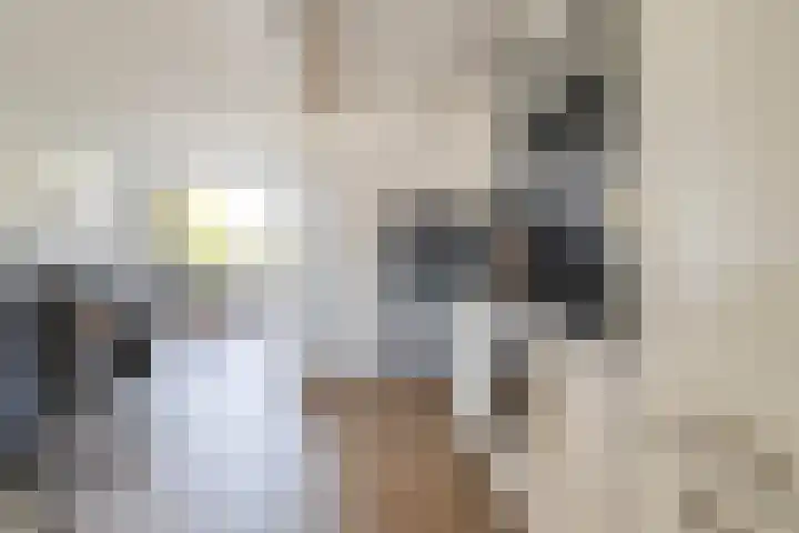 Master Jansenstrjitte 37 Mantgum thumbnail 12