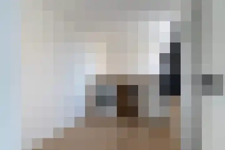 Master Jansenstrjitte 37 Mantgum thumbnail 13