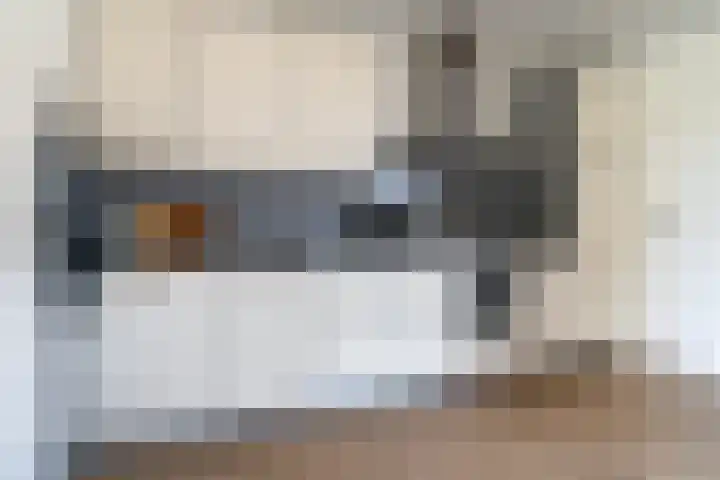 Master Jansenstrjitte 37 Mantgum thumbnail 14
