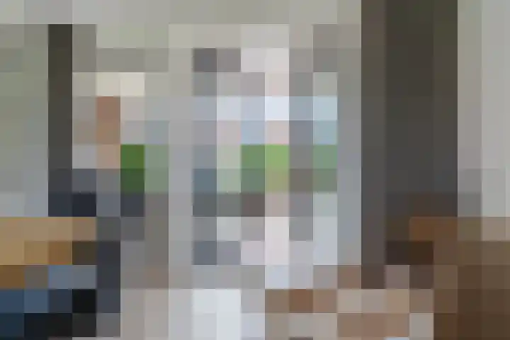 Master Jansenstrjitte 37 Mantgum thumbnail 15