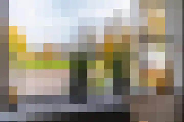 Master Jansenstrjitte 37 Mantgum thumbnail 17
