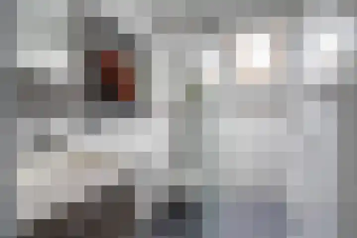 Master Jansenstrjitte 37 Mantgum thumbnail 21