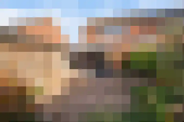 Master Jansenstrjitte 37 Mantgum thumbnail 30