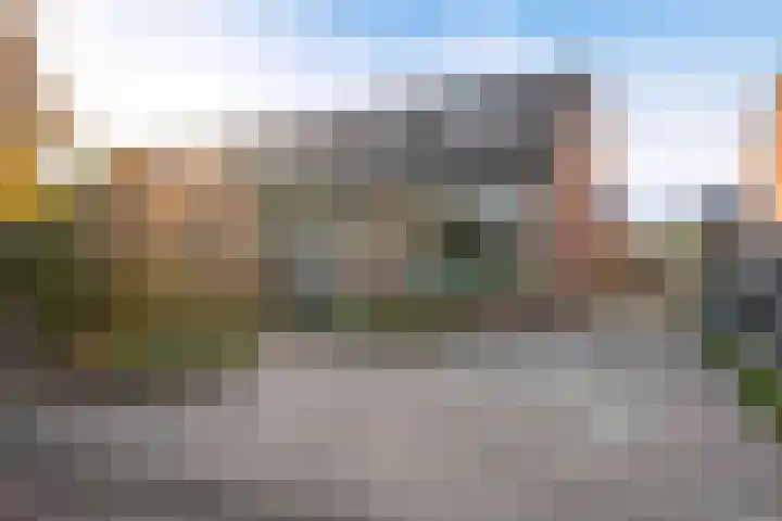 Master Jansenstrjitte 37 Mantgum thumbnail 34