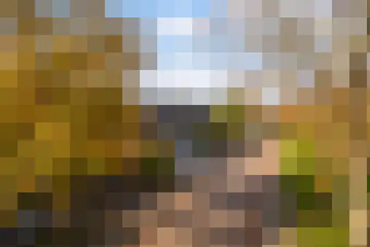 Master Jansenstrjitte 37 Mantgum thumbnail 35