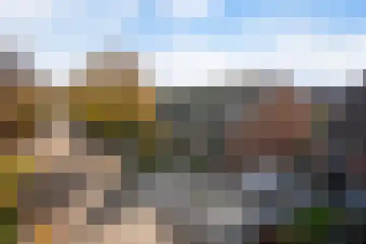 Master Jansenstrjitte 37 Mantgum thumbnail 36