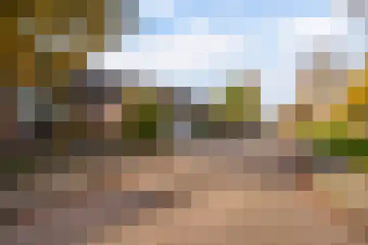 Master Jansenstrjitte 37 Mantgum thumbnail 37