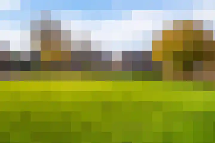 Master Jansenstrjitte 37 Mantgum thumbnail 38