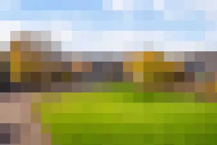 Master Jansenstrjitte 37 Mantgum thumbnail 39