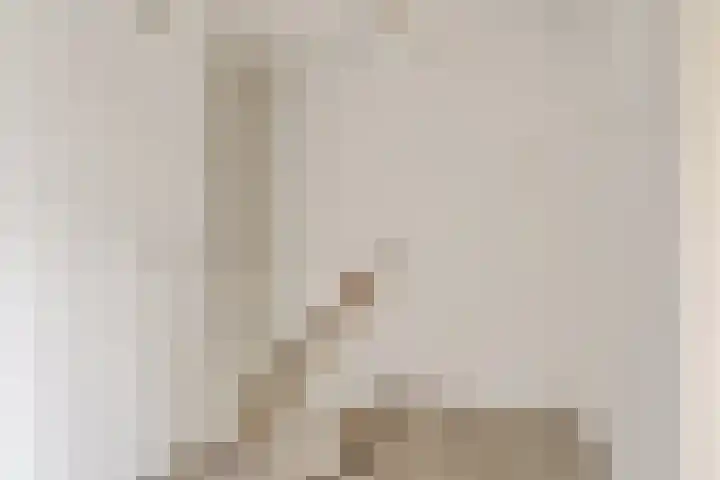 Master Jansenstrjitte 43 Mantgum thumbnail 13