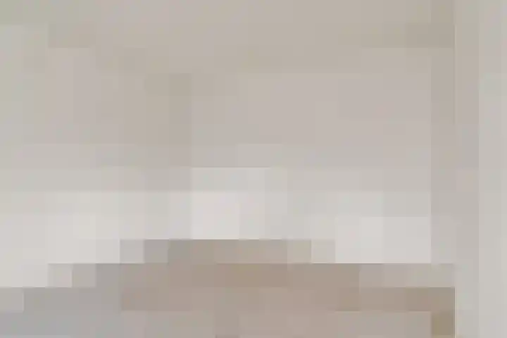 Master Jansenstrjitte 43 Mantgum thumbnail 17
