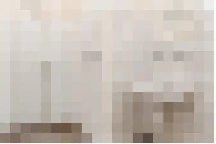 Master Jansenstrjitte 43 Mantgum thumbnail 21