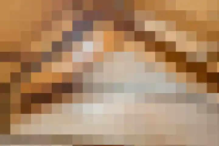 Master Jansenstrjitte 43 Mantgum thumbnail 22