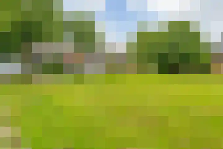 Master Jansenstrjitte 43 Mantgum thumbnail 24