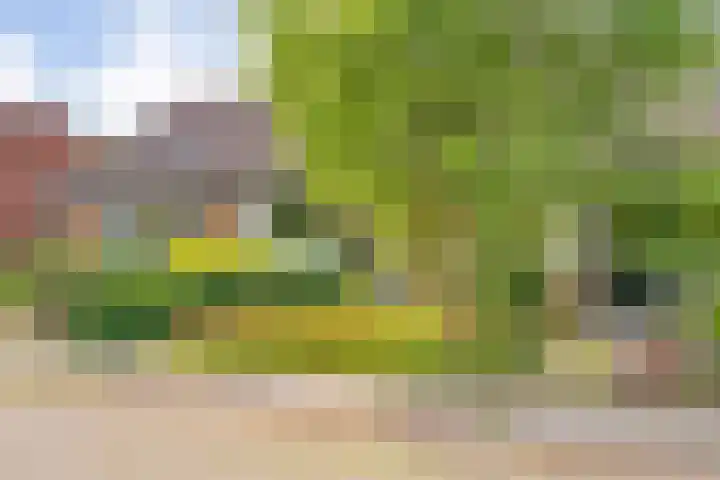 Master Jansenstrjitte 43 Mantgum thumbnail 4