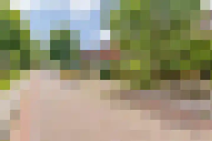 Master Jansenstrjitte 43 Mantgum thumbnail 5