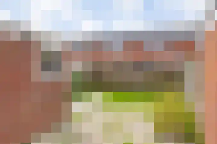 Master Jansenstrjitte 43 Mantgum thumbnail 8