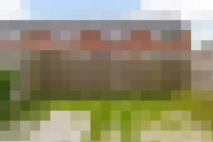 Master Jansenstrjitte 43 Mantgum thumbnail 9