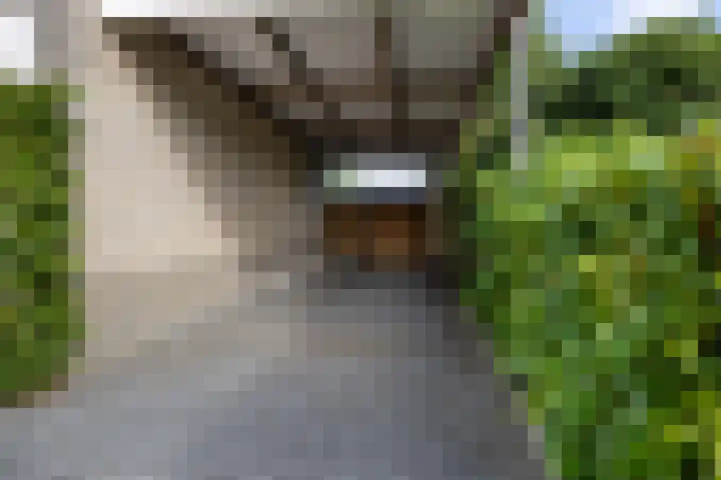 Master Keulenstrjitte 2 Sneek thumbnail 13