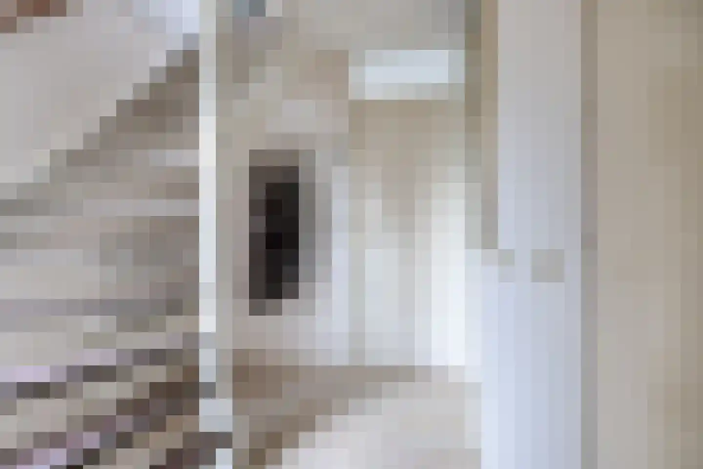 Master Keulenstrjitte 2 Sneek thumbnail 15