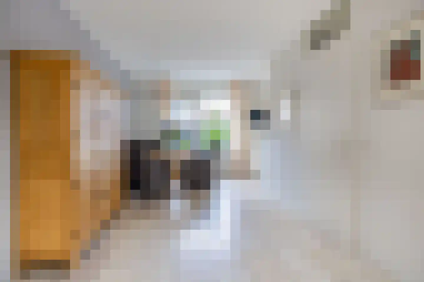 Master Keulenstrjitte 2 Sneek thumbnail 23