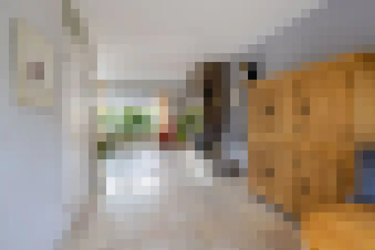 Master Keulenstrjitte 2 Sneek thumbnail 25