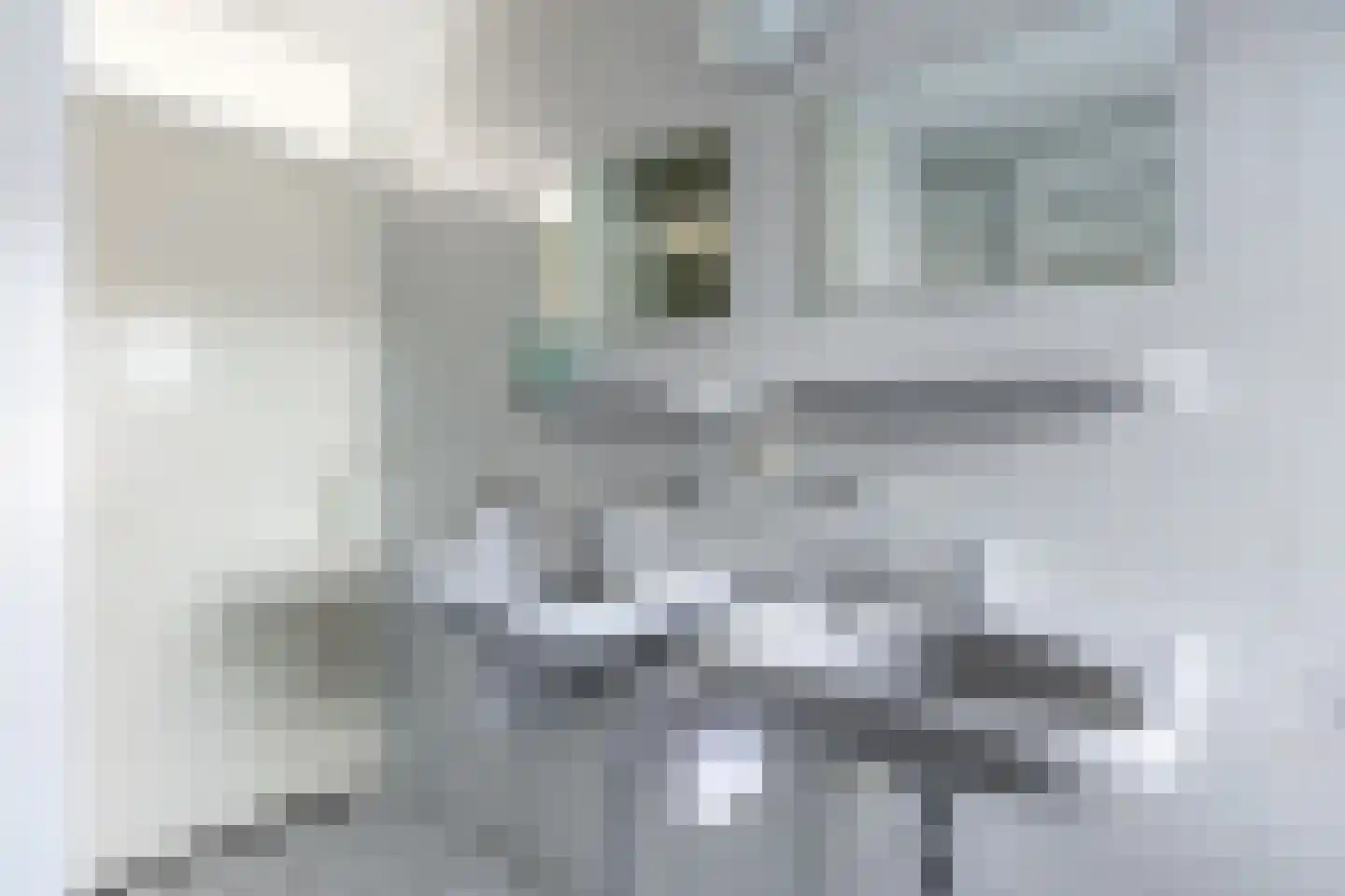 Master Keulenstrjitte 2 Sneek thumbnail 46