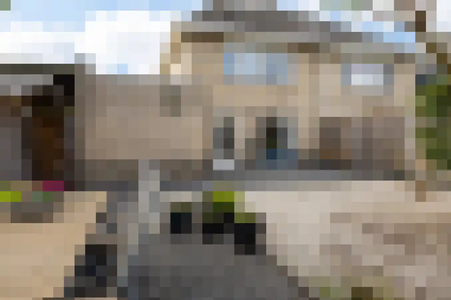 Master Keulenstrjitte 2 Sneek thumbnail 58
