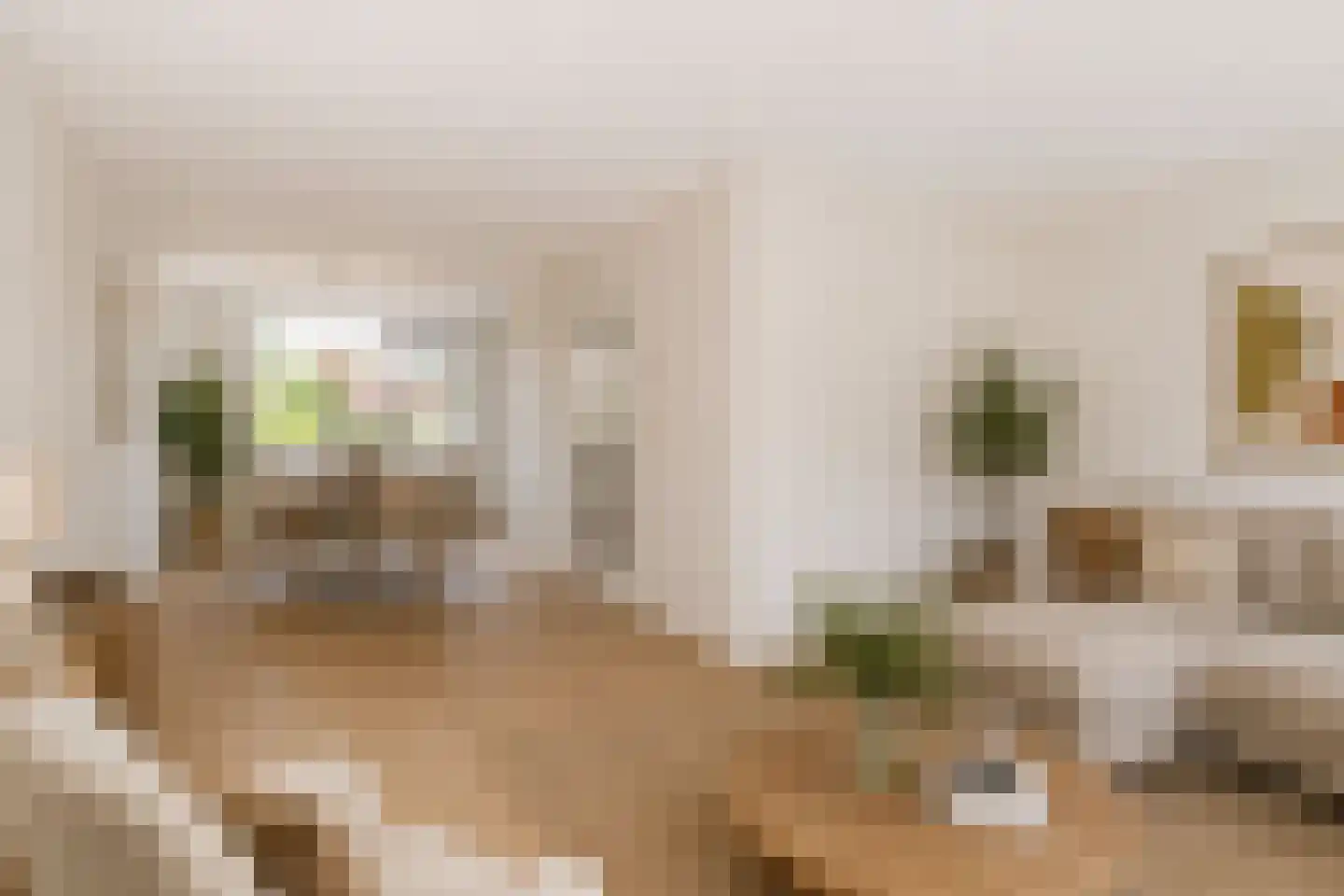 Master Keulenstrjitte 53 Sneek thumbnail 12