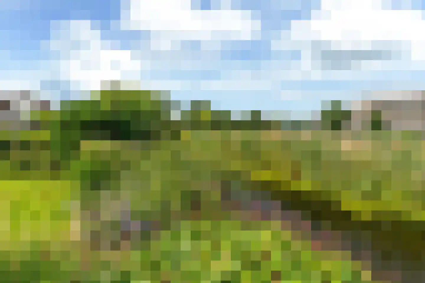 Master Keulenstrjitte 53 Sneek thumbnail 27