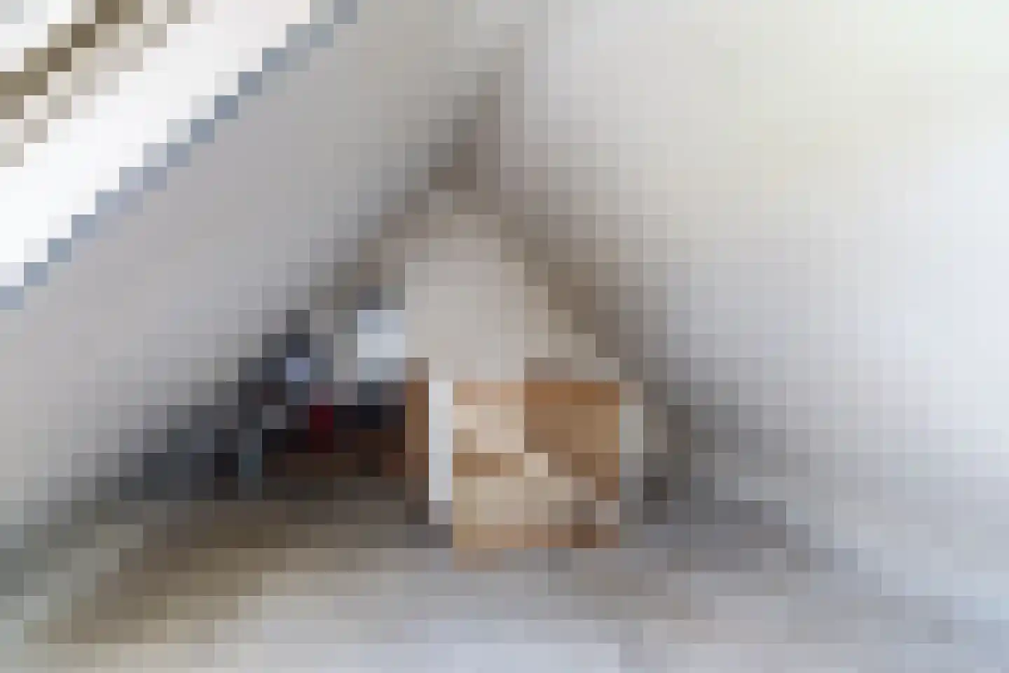 Master Keulenstrjitte 53 Sneek thumbnail 41