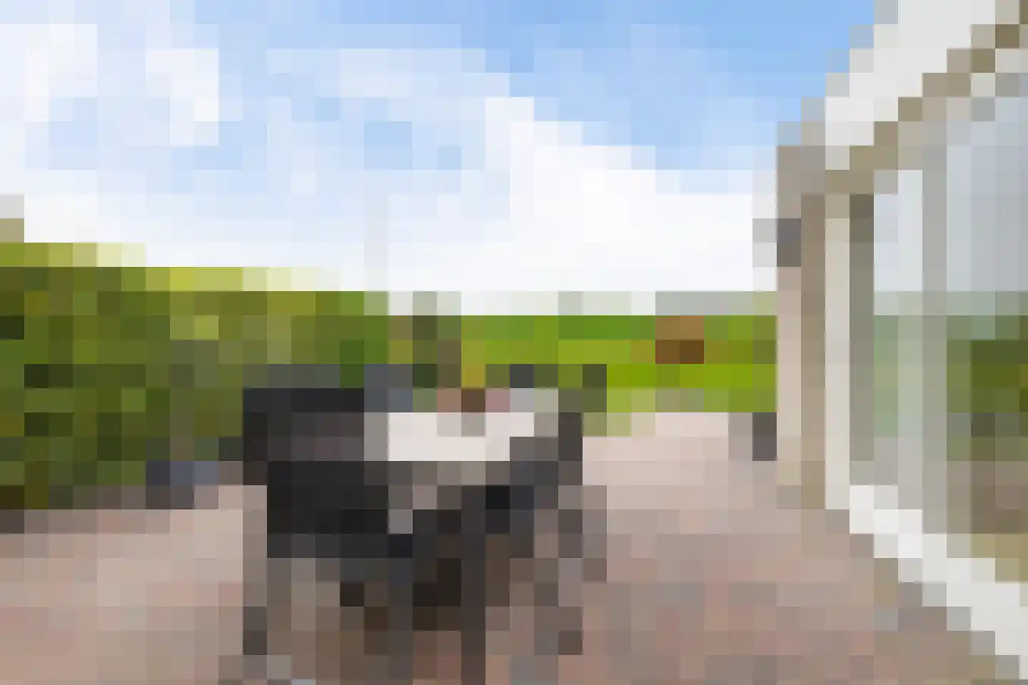 Master Keulenstrjitte 61 Sneek thumbnail 39