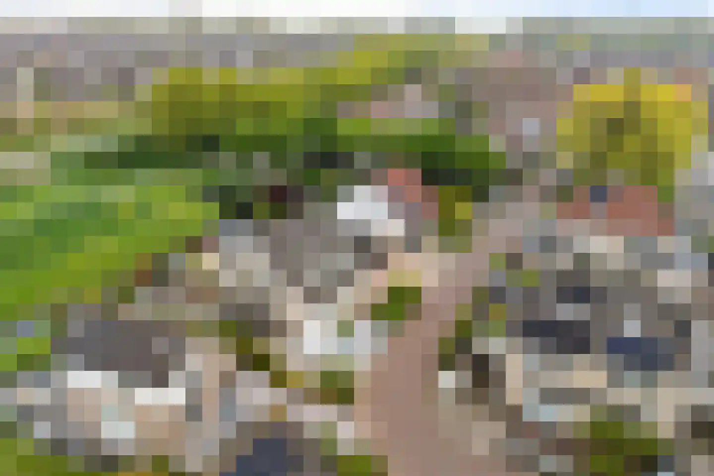Master Keulenstrjitte 61 Sneek thumbnail 50