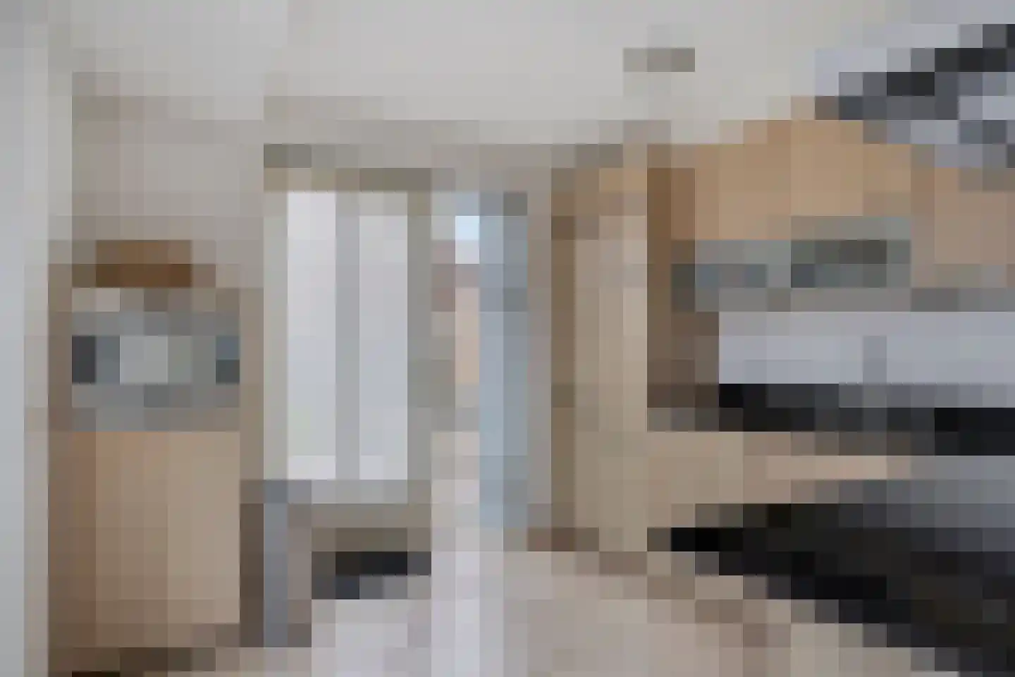 Master Keuningwei 24 Rottevalle thumbnail 13