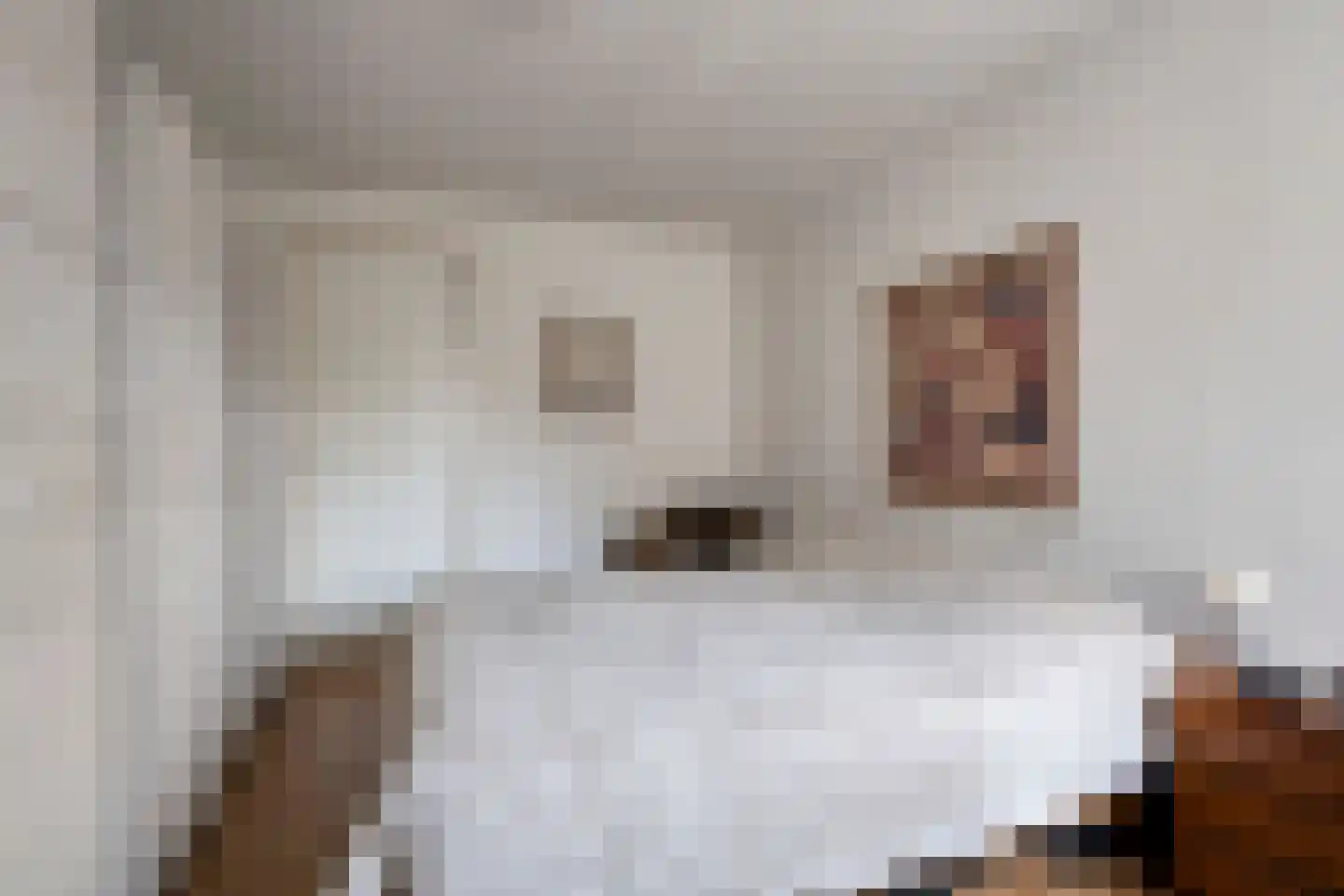 Master Keuningwei 24 Rottevalle thumbnail 14