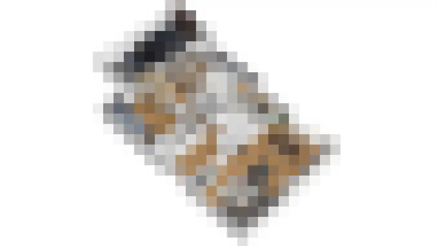 Master Lubwei 16 Garyp thumbnail 13