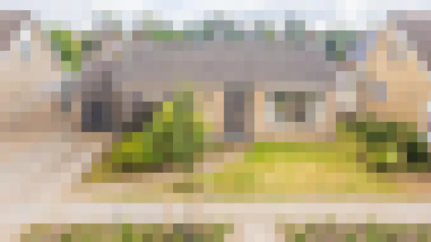 Master Lubwei 16 Garyp thumbnail 5