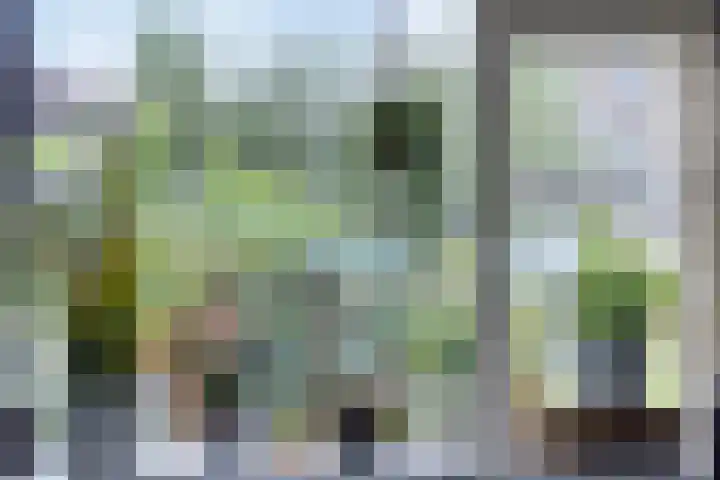 Master Lubwei 23 Garyp thumbnail 14