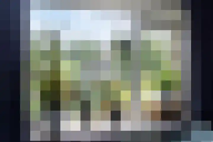 Master Lubwei 23 Garyp thumbnail 15