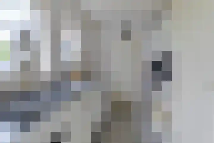 Master Lubwei 23 Garyp thumbnail 16
