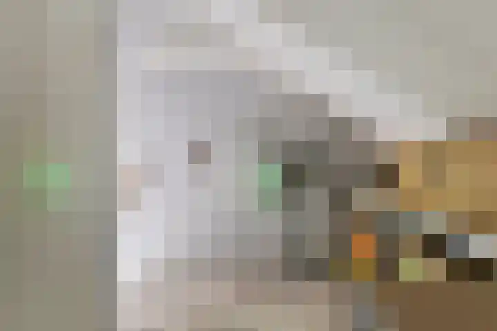 Master Lubwei 23 Garyp thumbnail 29