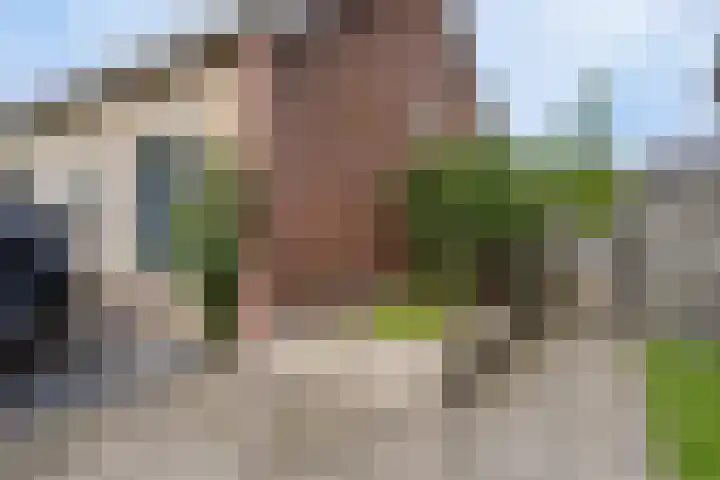 Master Lubwei 23 Garyp thumbnail 33