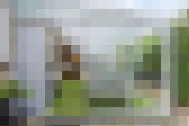Master Lubwei 23 Garyp thumbnail 35