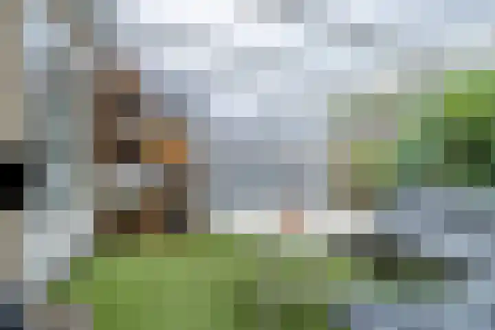 Master Lubwei 23 Garyp thumbnail 36