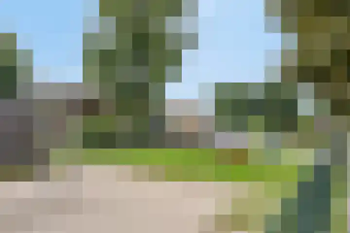 Master Lubwei 23 Garyp thumbnail 41