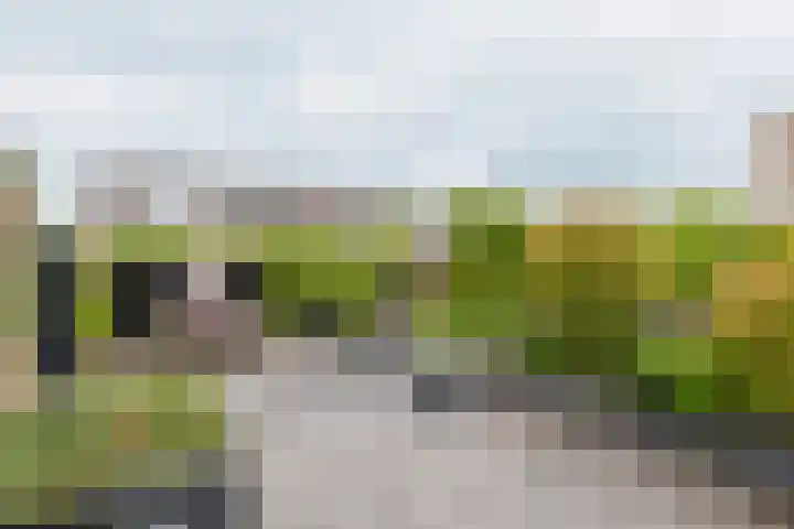 Master Roordawei 12 Tijnje thumbnail 18