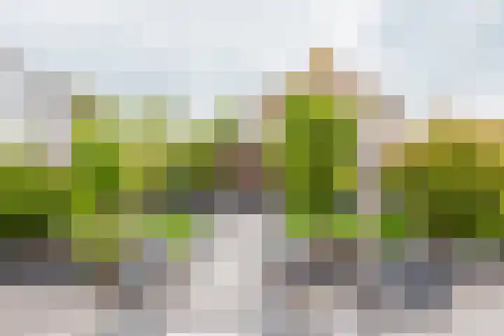 Master Roordawei 12 Tijnje thumbnail 19