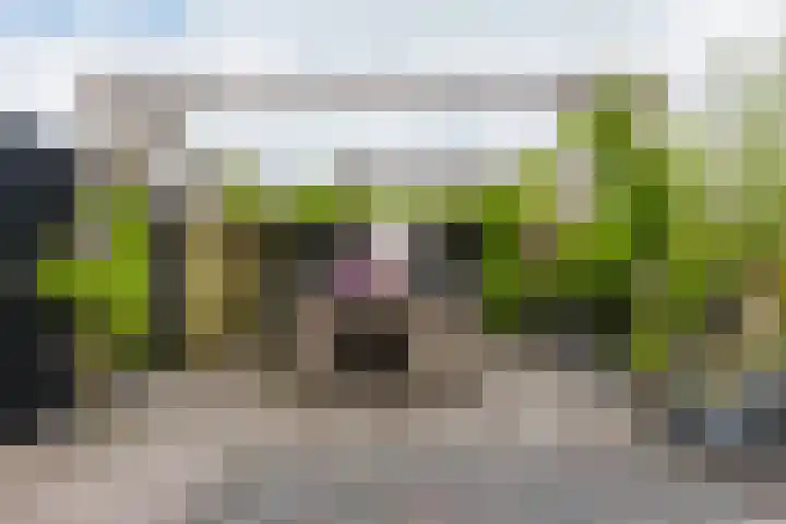 Master Roordawei 12 Tijnje thumbnail 20